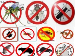 شركة مكافحة حشرات بالطائف ورش مبيدات بطرق آمنه