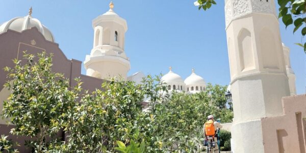 فني متخصِّص في مكافحة الحشرات باستخدام معدات حديثة في الطائف
